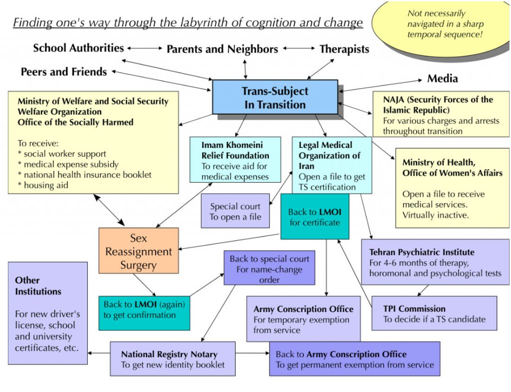 Attached is an image displaying a multicolored, elaborate and complex flowchart of socio-institution sites one has to navigate